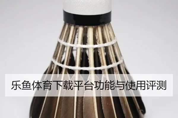 乐鱼体育下载平台功能与使用评测