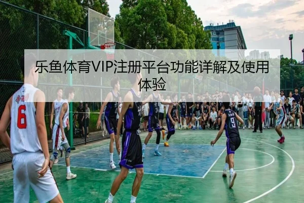 乐鱼体育VIP注册平台功能详解及使用体验