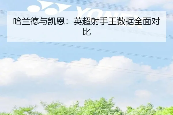 ha-lan-de-yu-kai-en-ying-chao-she-shou-wang-shu-ju-quan-mian-dui-bi-2-127.jpg