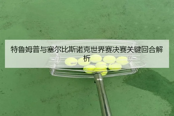 te-lu-mu-pu-yu-sai-er-bi-si-nuo-ke-shi-jie-sai-jue-sai-guan-jian-hui-he-jie-xi-2-785.jpg